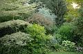 FilRoses_MmeDethier (47)